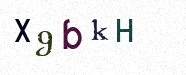 Visual Confirmation Security Code